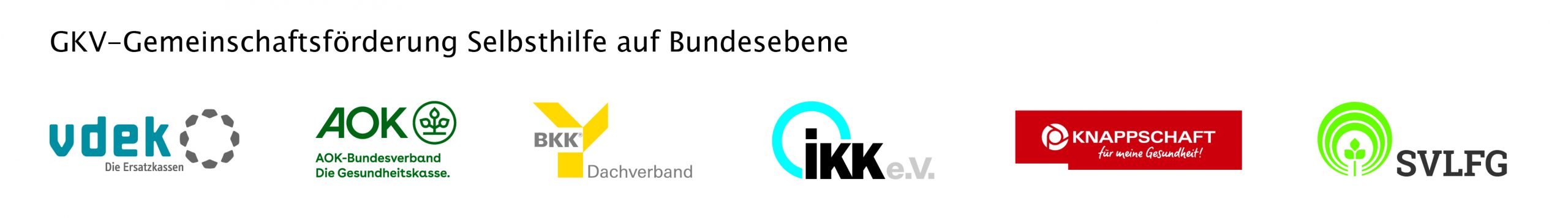 Logo GKV Gemeinschaftsfoerderung Selbsthilfe auf Bundesebene